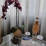 فندق Stadthotel Geis 3*