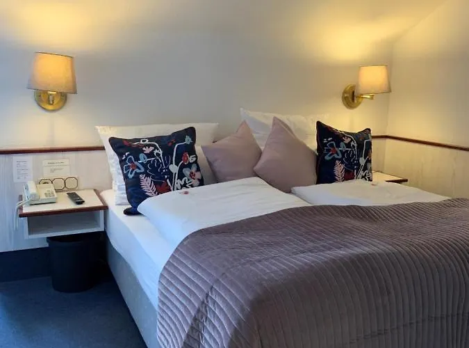 Stadthotel Geis バート・ノイシュタット・アン・デア・ザーレ