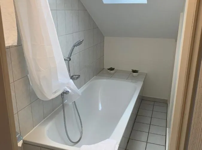 Stadthotel Geis Hotel 3*