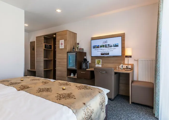 Отель Stadthotel Geis 3*