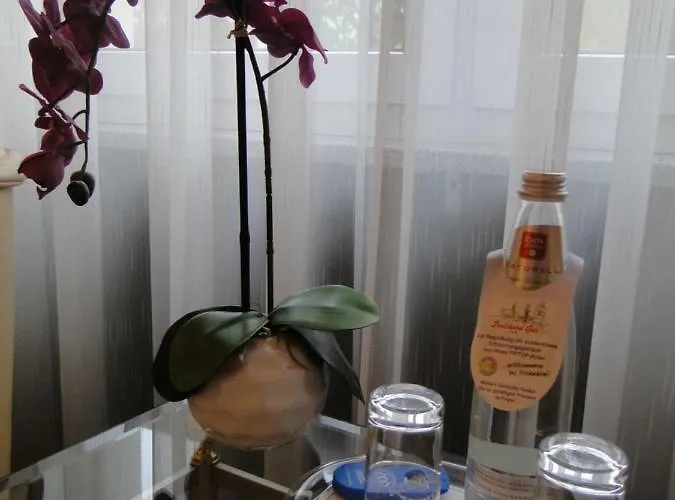 Hotel Stadthotel Geis 3*